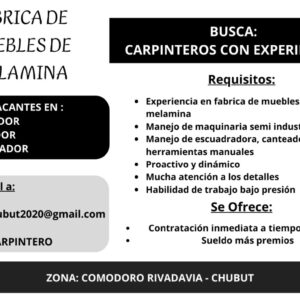 Carpinteros con Experiencia